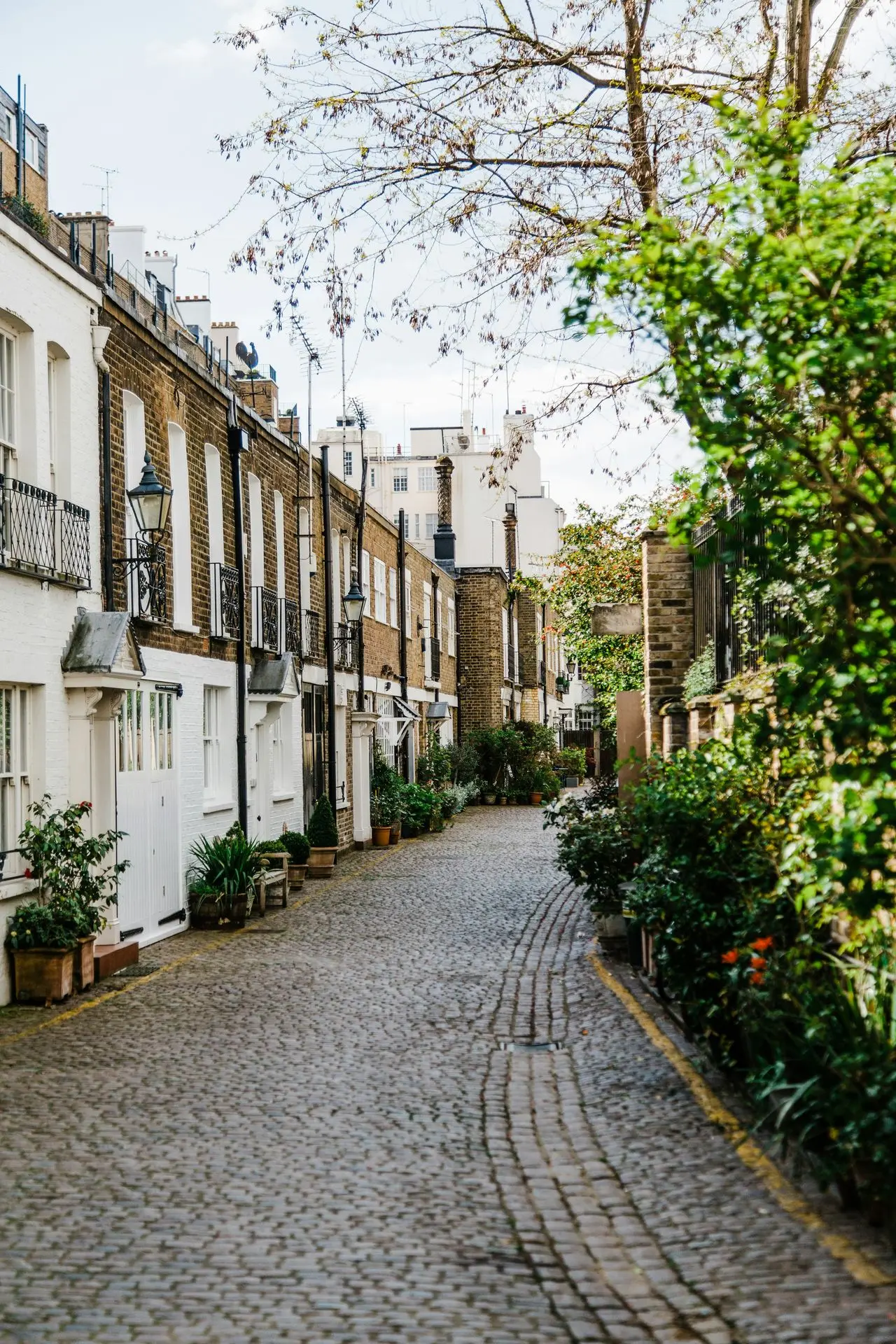 The Street As Architecture
